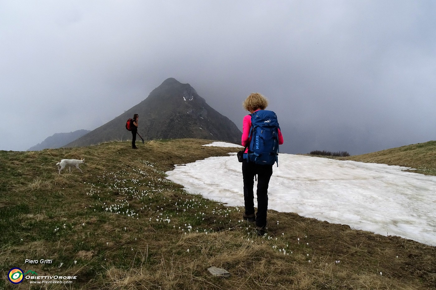 23 Sciolta la neve, spuntano i crocus.JPG